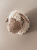 WANDKOP SCHAAP