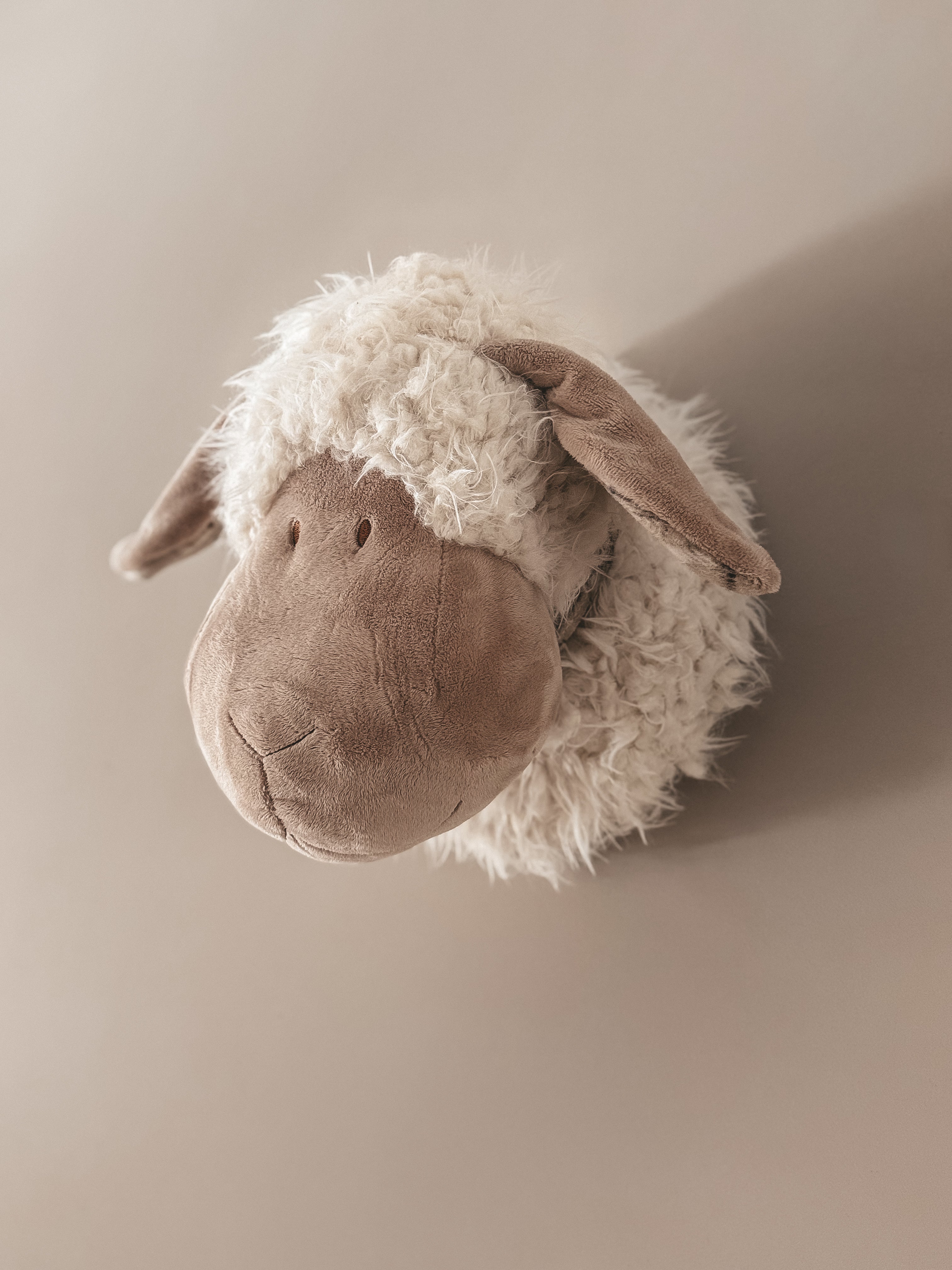 WANDKOP SCHAAP