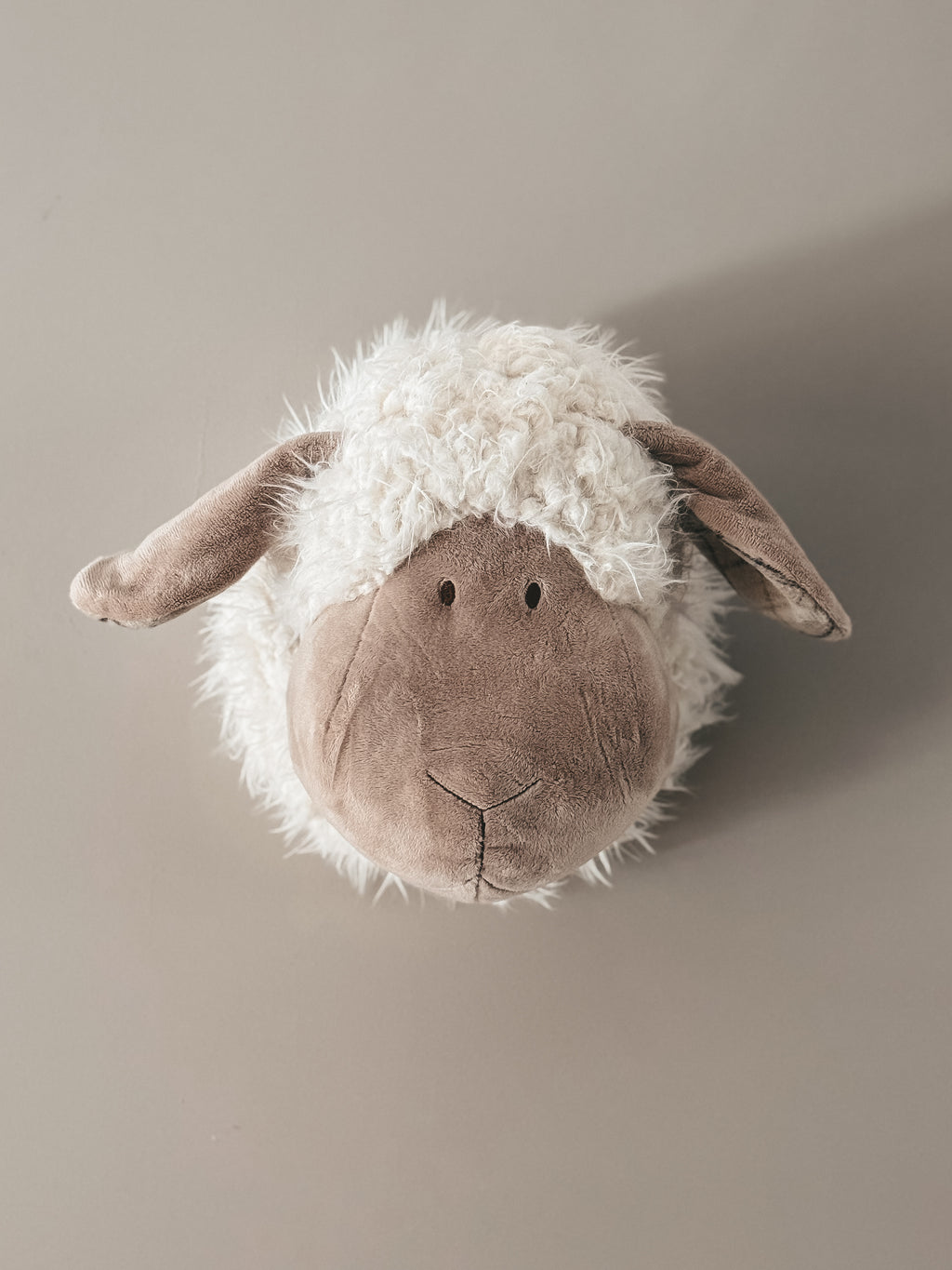 WANDKOP SCHAAP